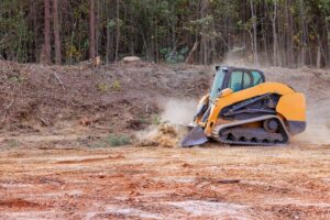 land clearing southest louisiana - cypress line