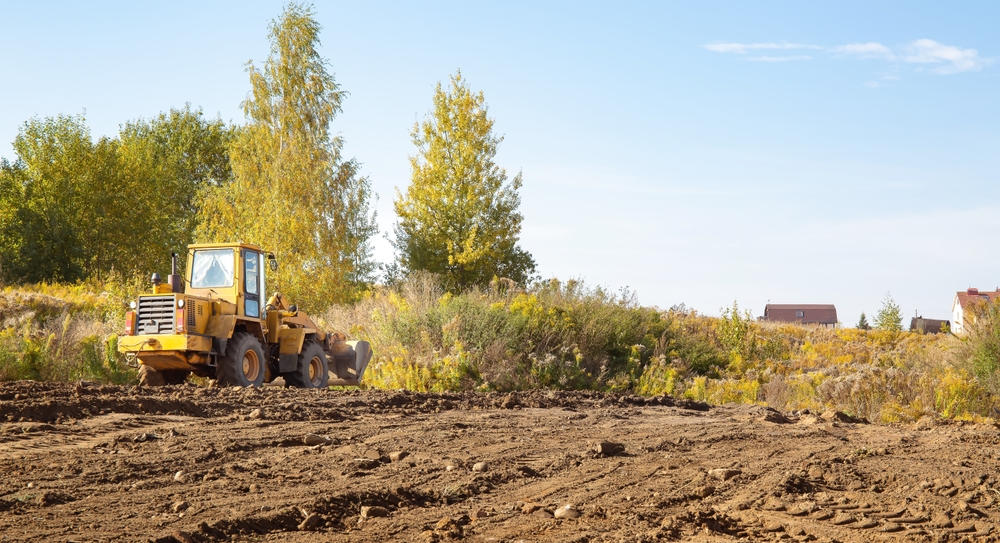 what can be removed during land clearing in southest louisiana - cypress line